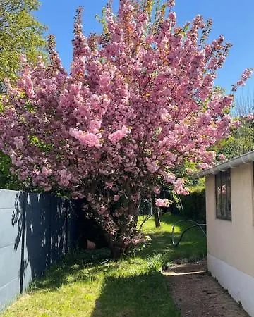 Maison 5mn Du Centre Du Mans A Pied Tatil Evi *