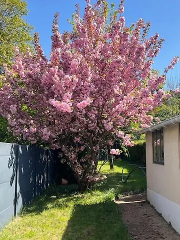 Maison 5mn Du Centre Du Mans A Pied بيت للعطل *